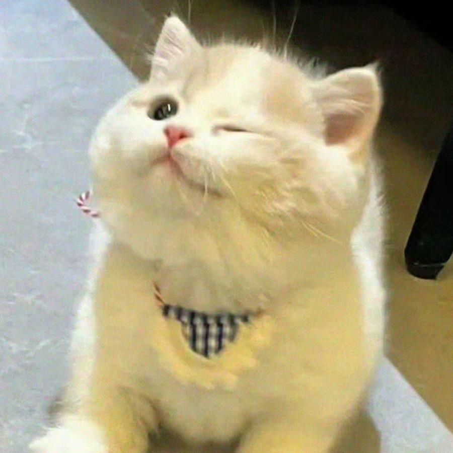 趙同學