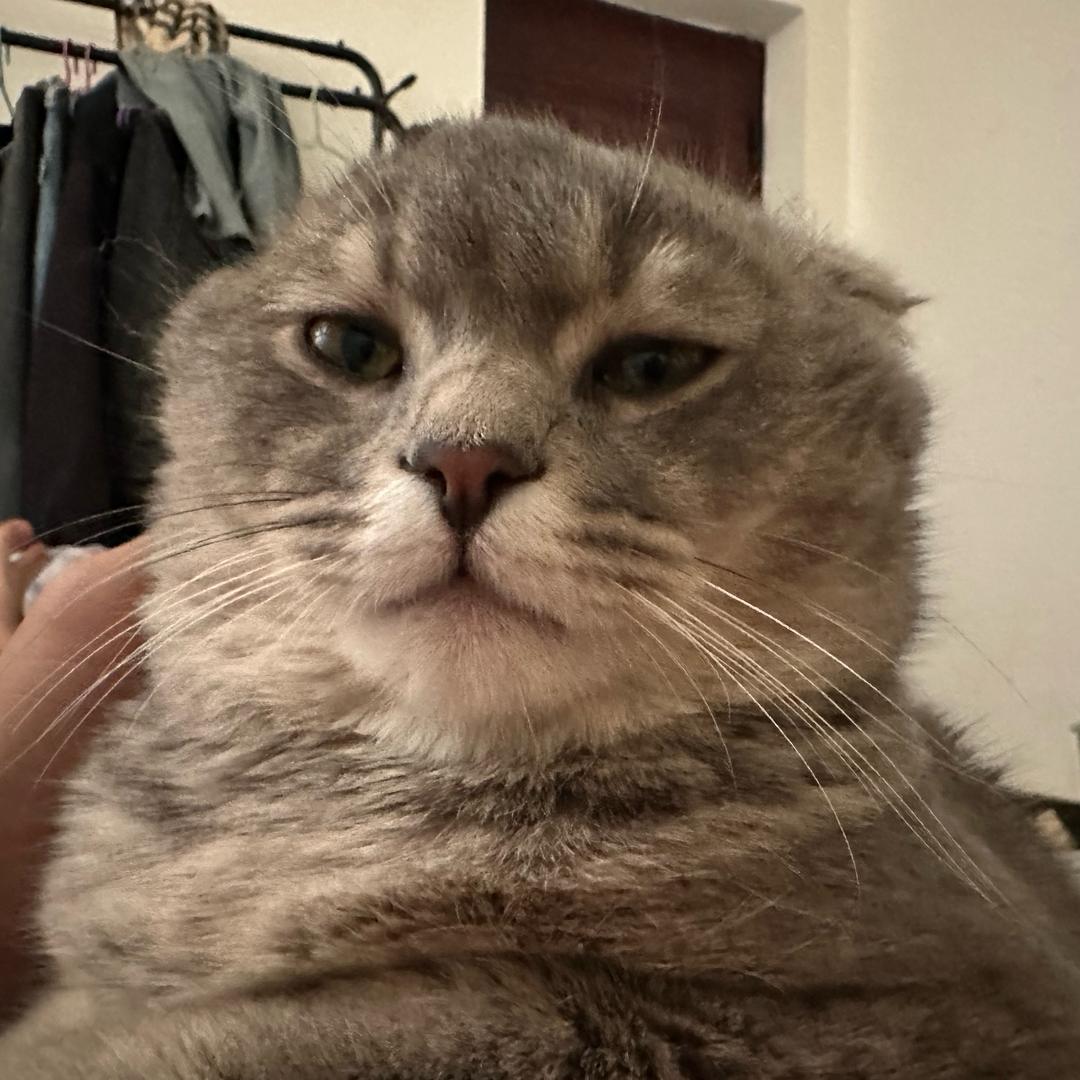 小何正在努力