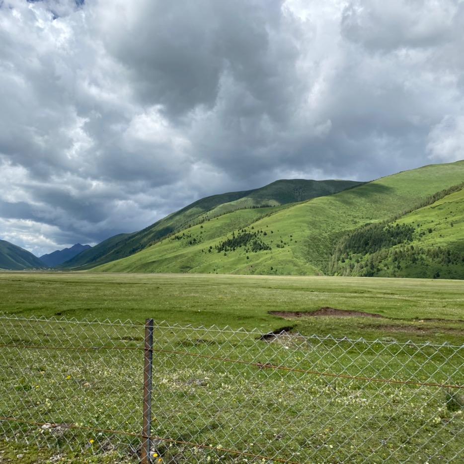 油炸妹🌠🌟🌌