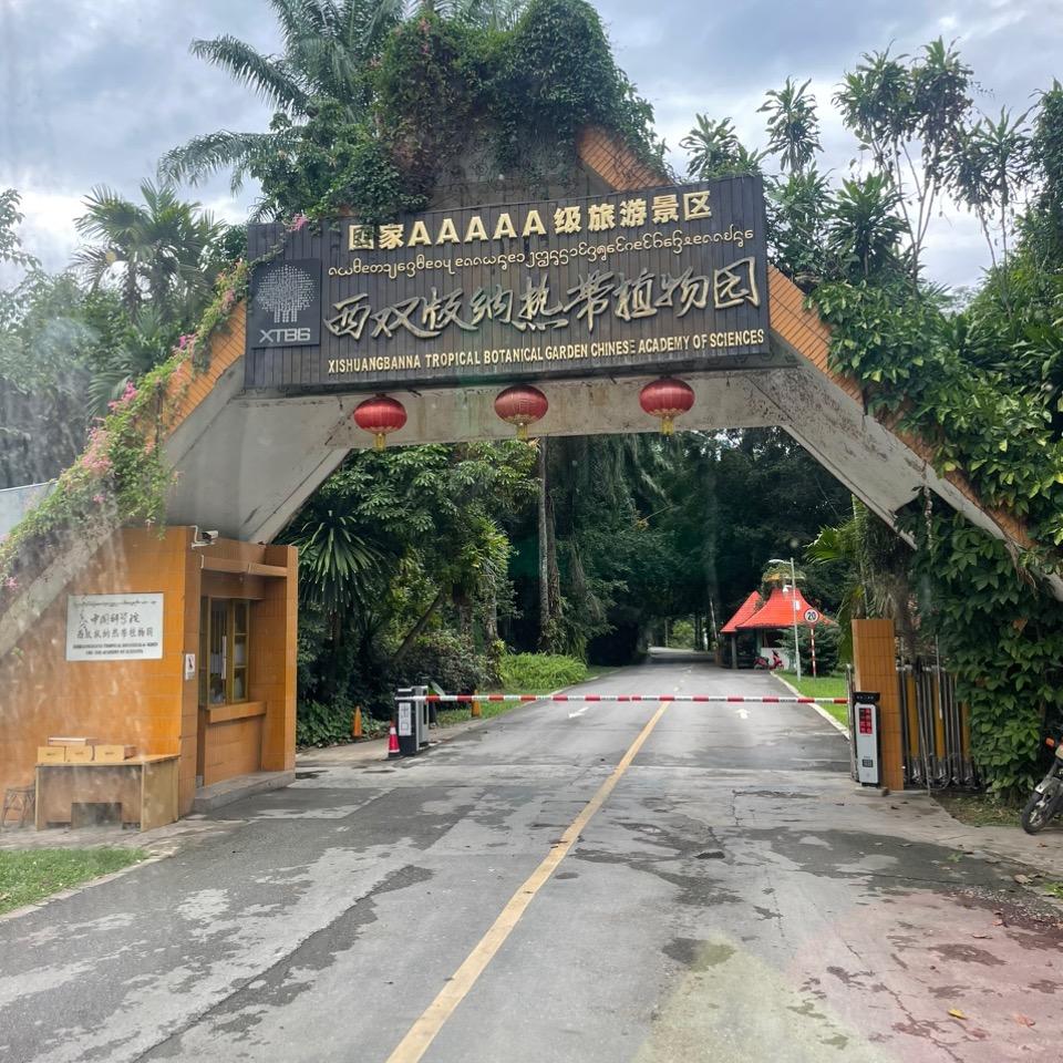 唧唧歪歪