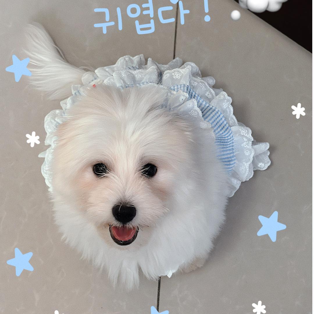 悦宝kitty小铺
