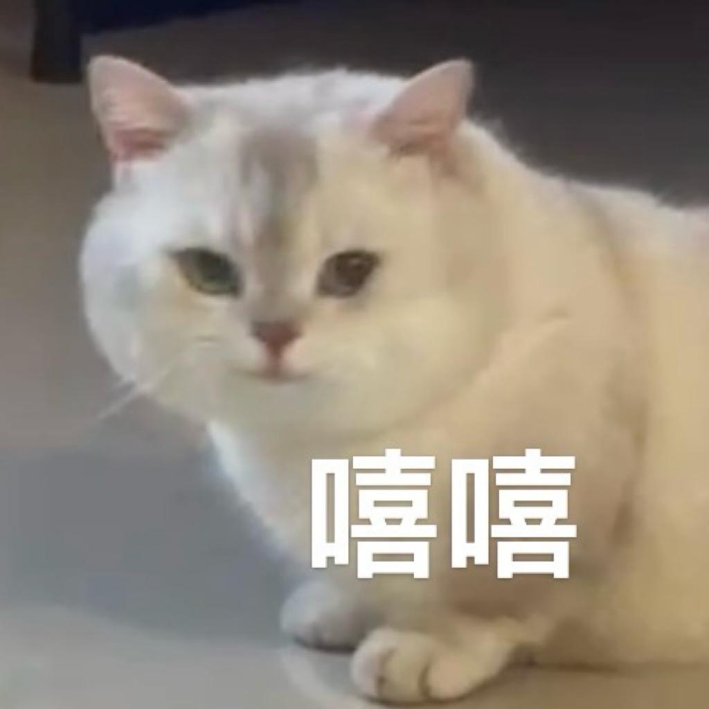 梁不泊