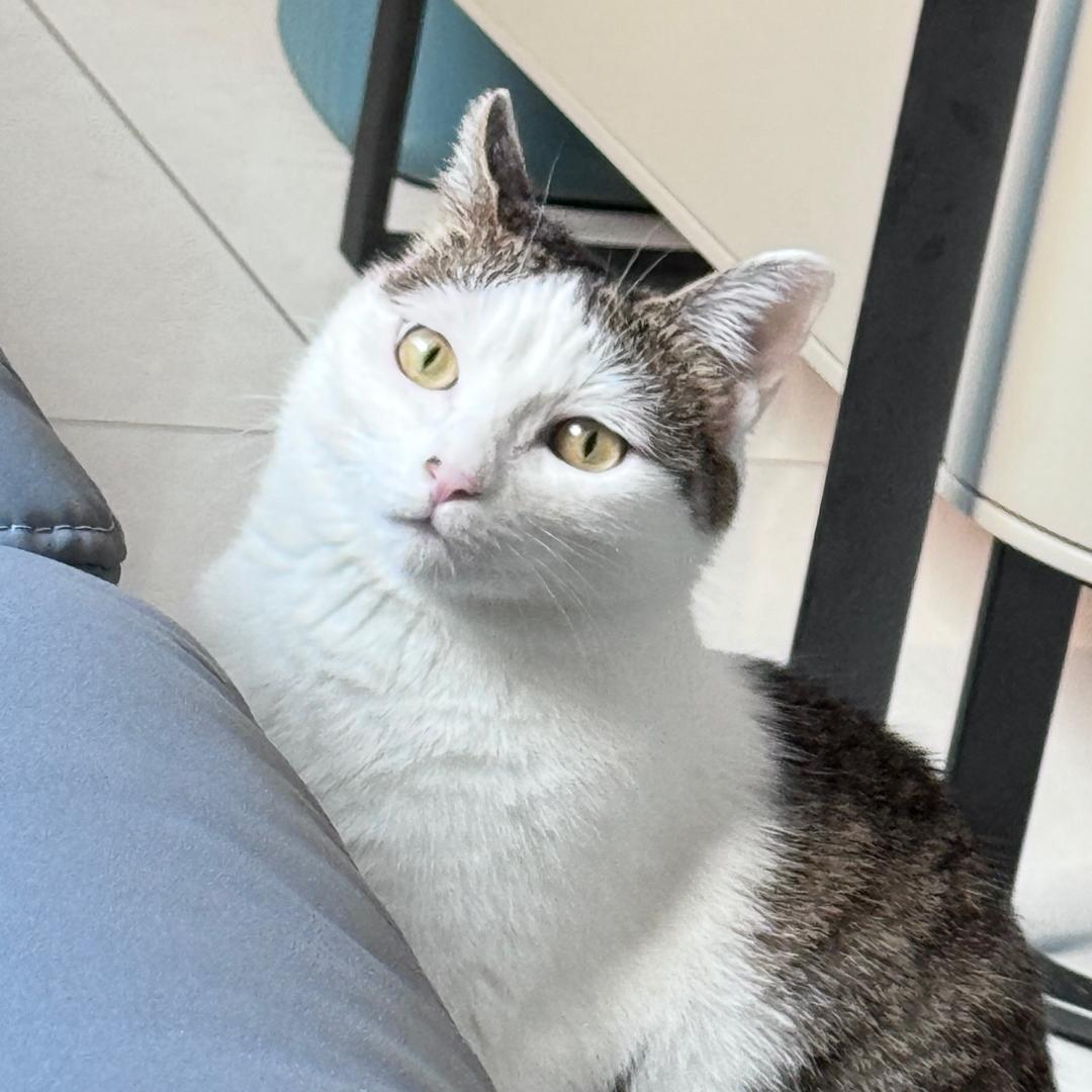 心事蛋蛋