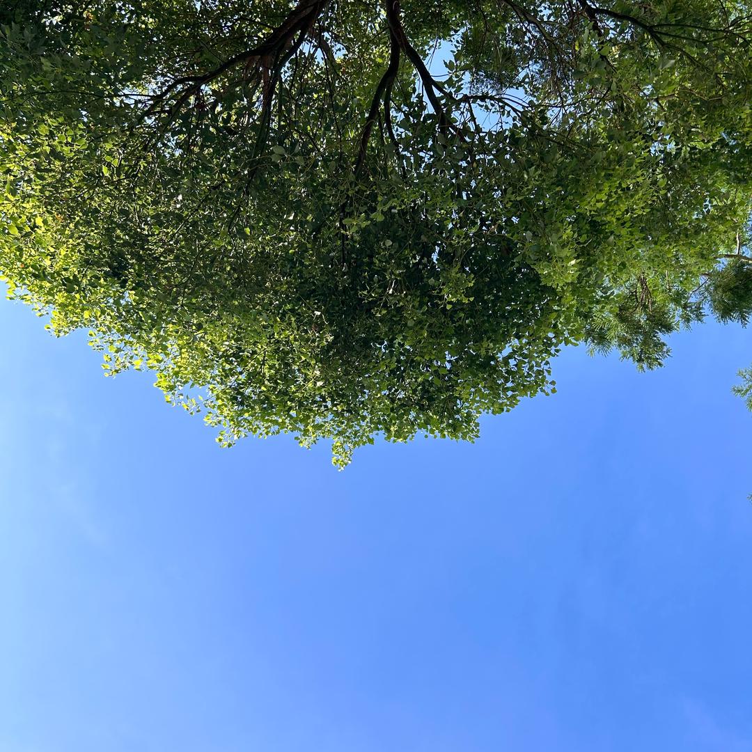 CROWN （遇到更好的自己）