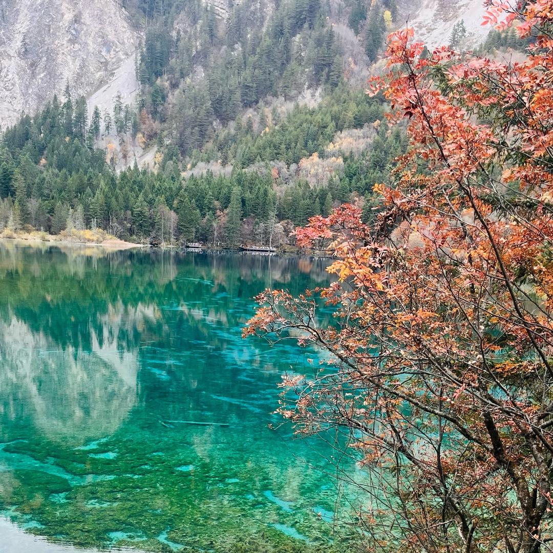 努力8️⃣加油8️⃣