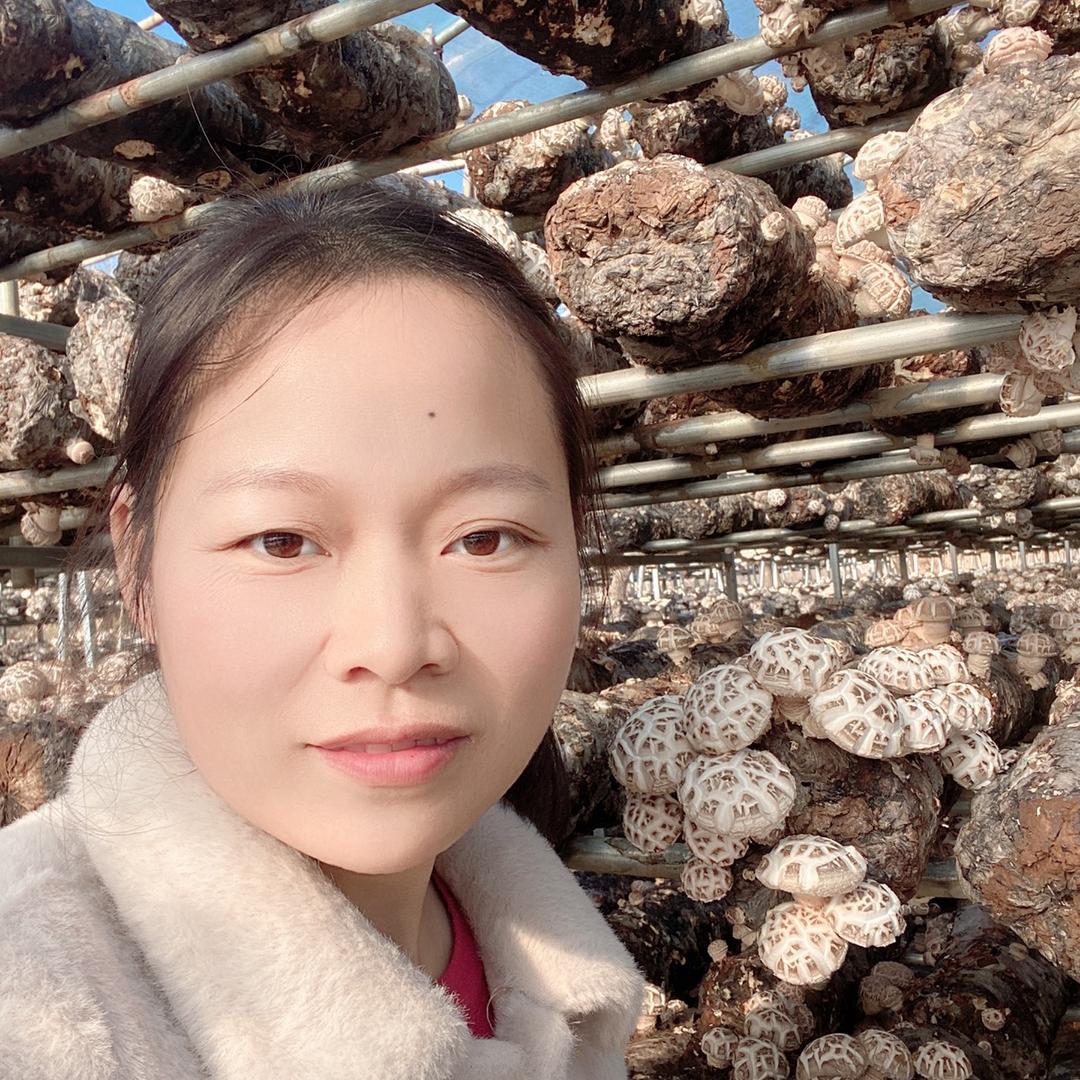 慧婷农产品营业部