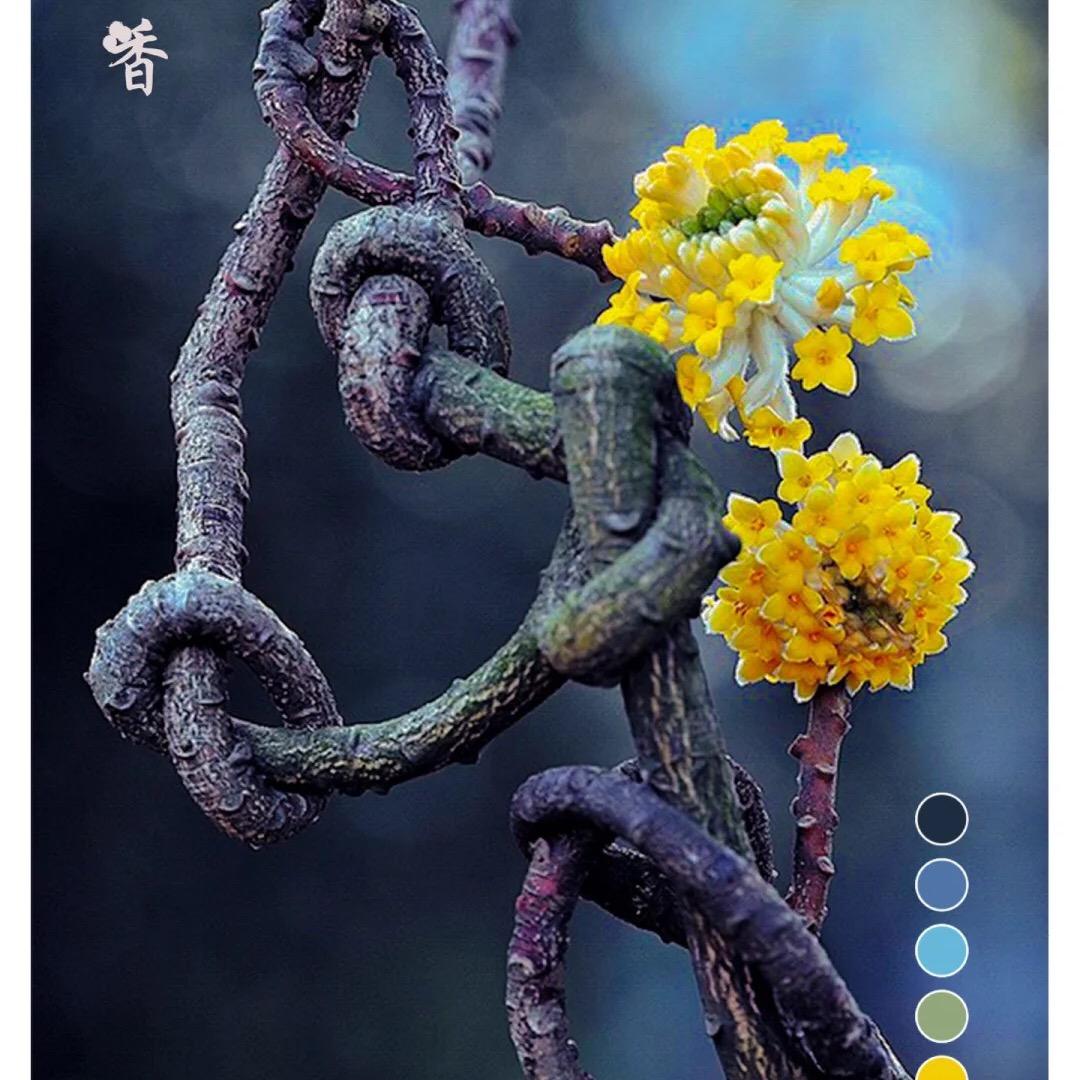 丽儿·情感故事