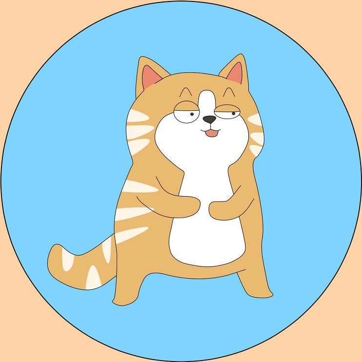 聚猿创团队橘猫老板@抖音