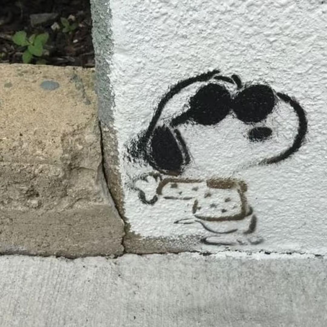 豆子嘟