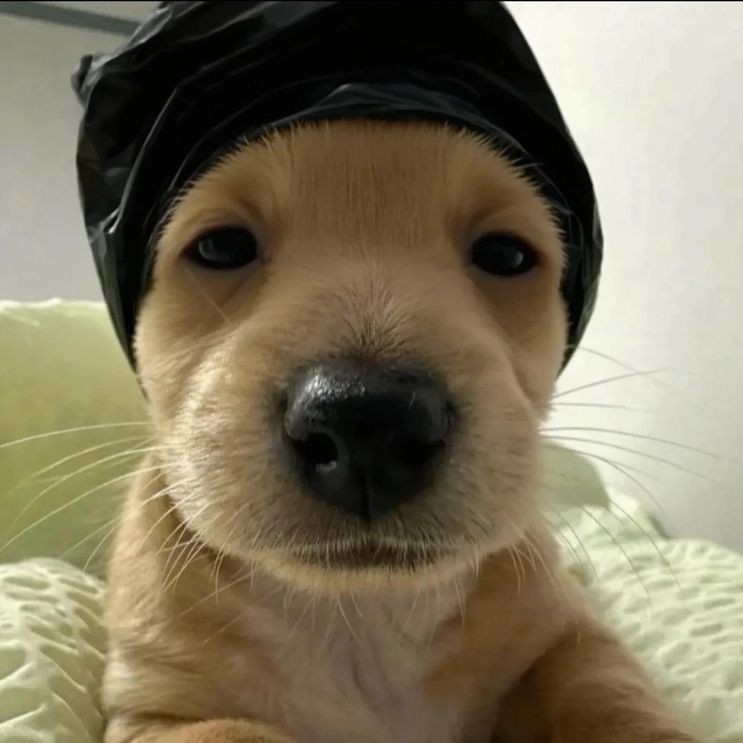 Lu.