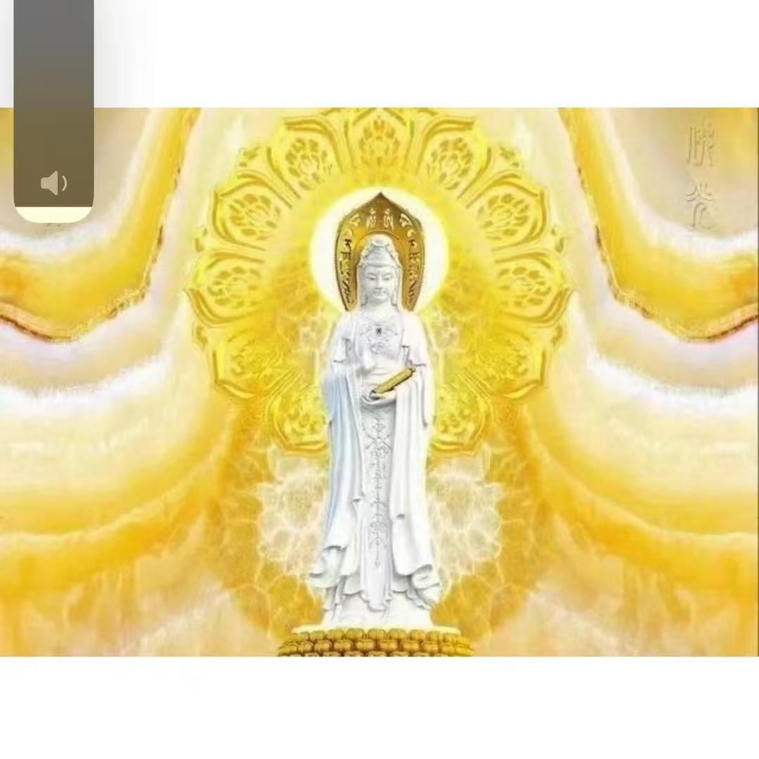 静海任姐（小号）