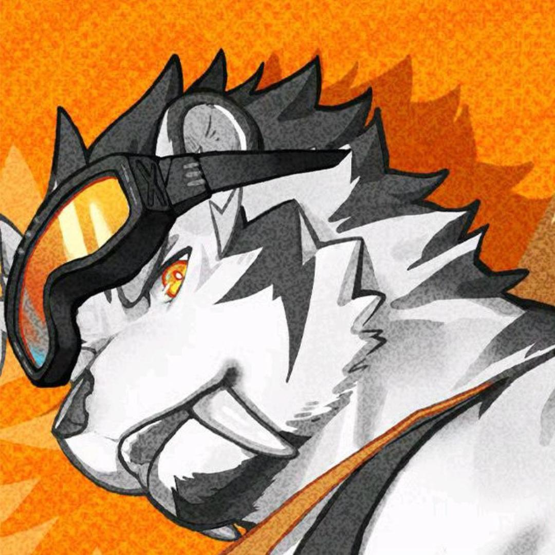 笨蛋老虎🐯
