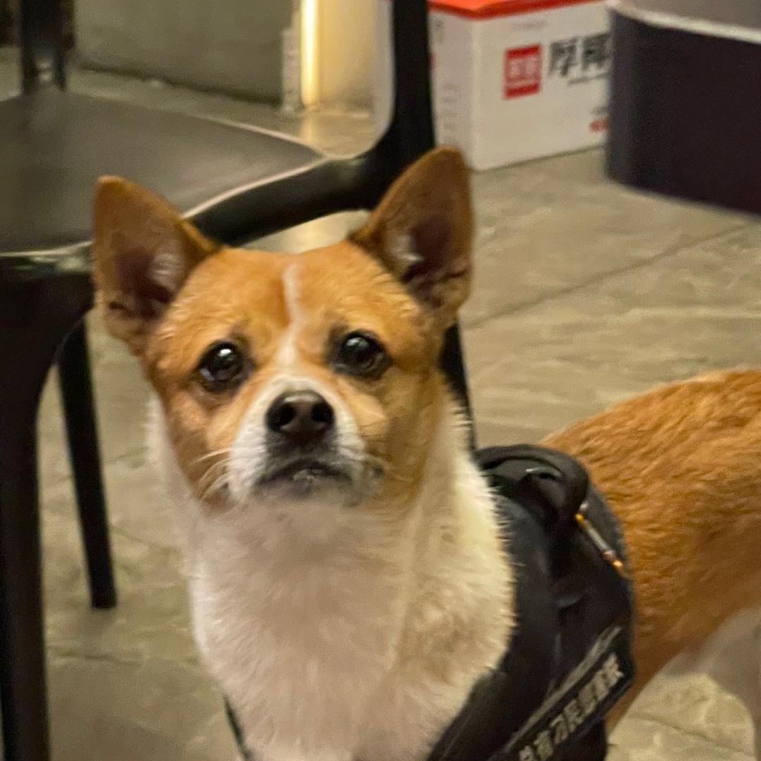 🌈超多米很有米