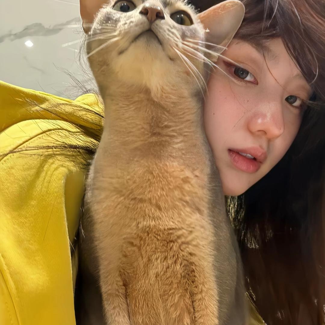 开心大面包Ծ‸Ծ