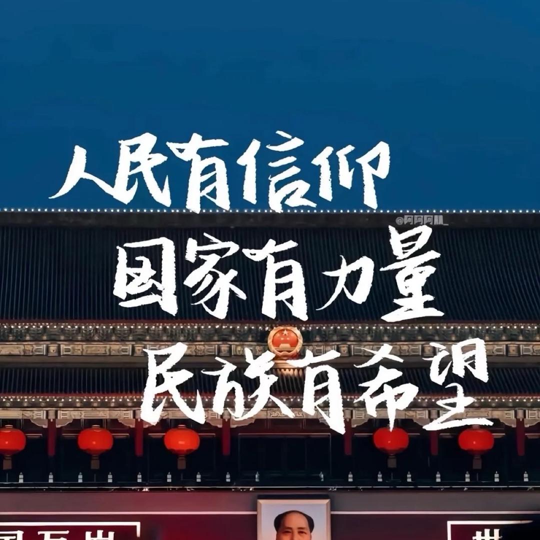 肉叮微胖定制