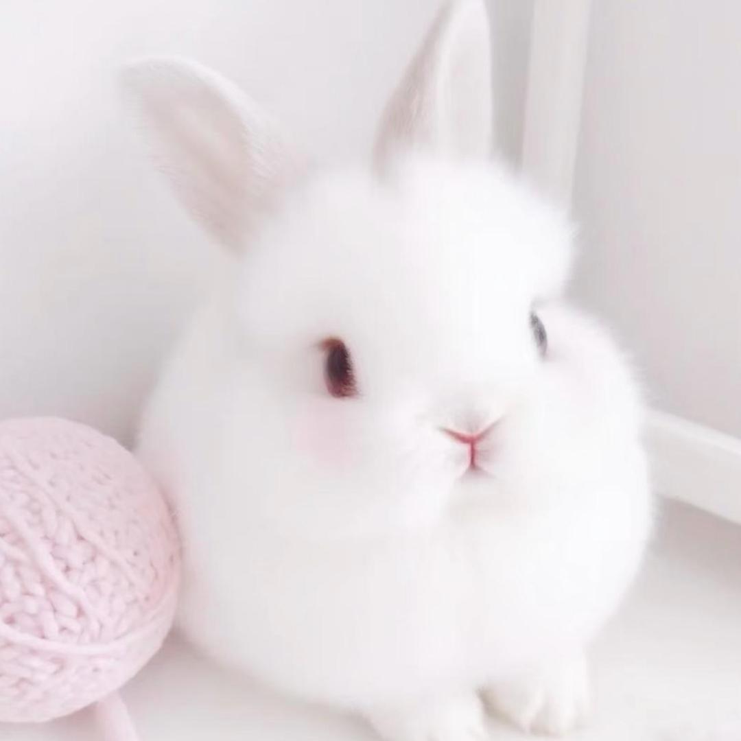 ^