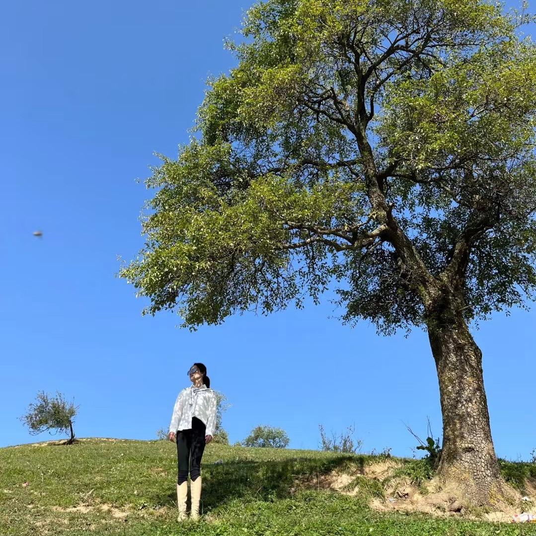 、薛薛（橱窗营业中）