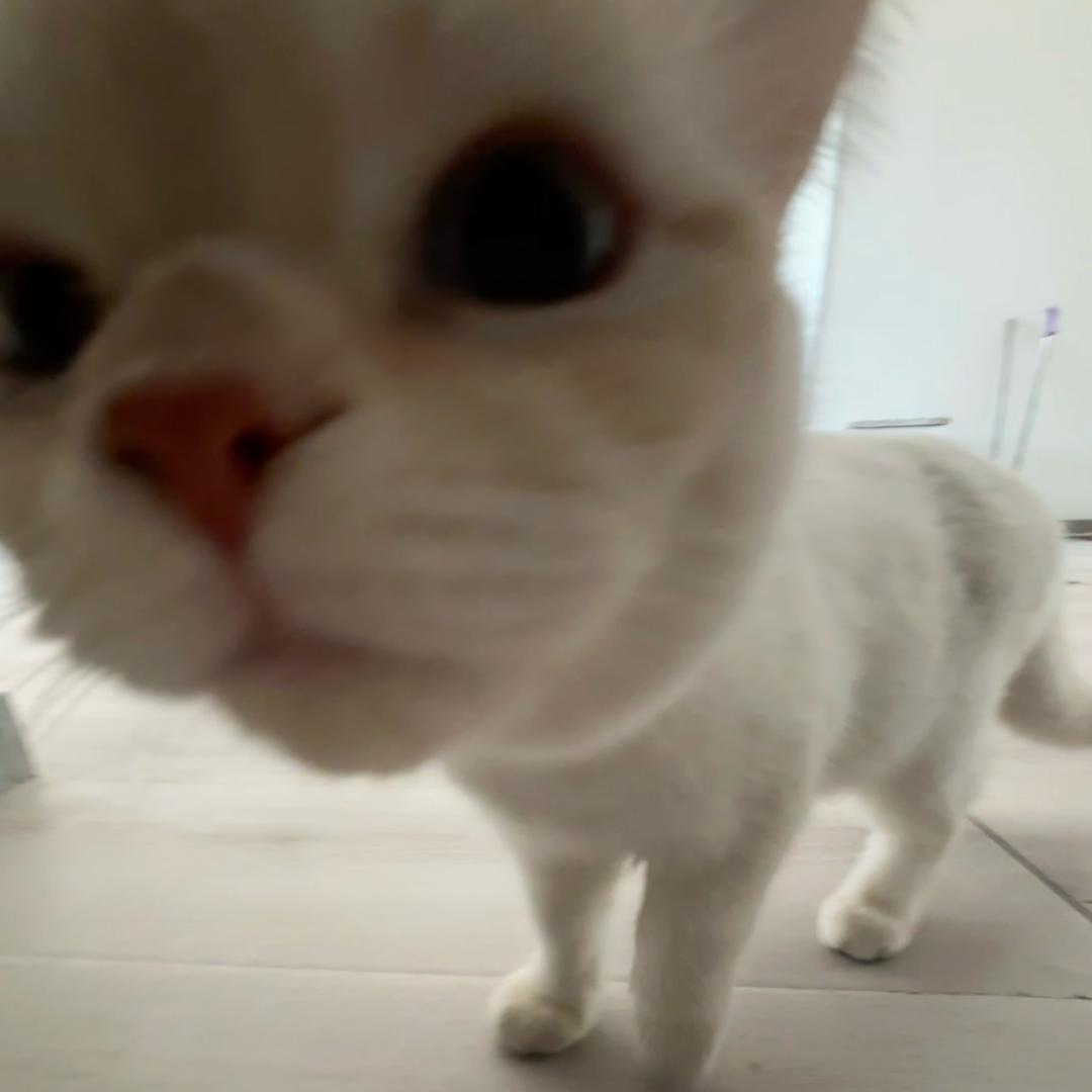 Li OuO