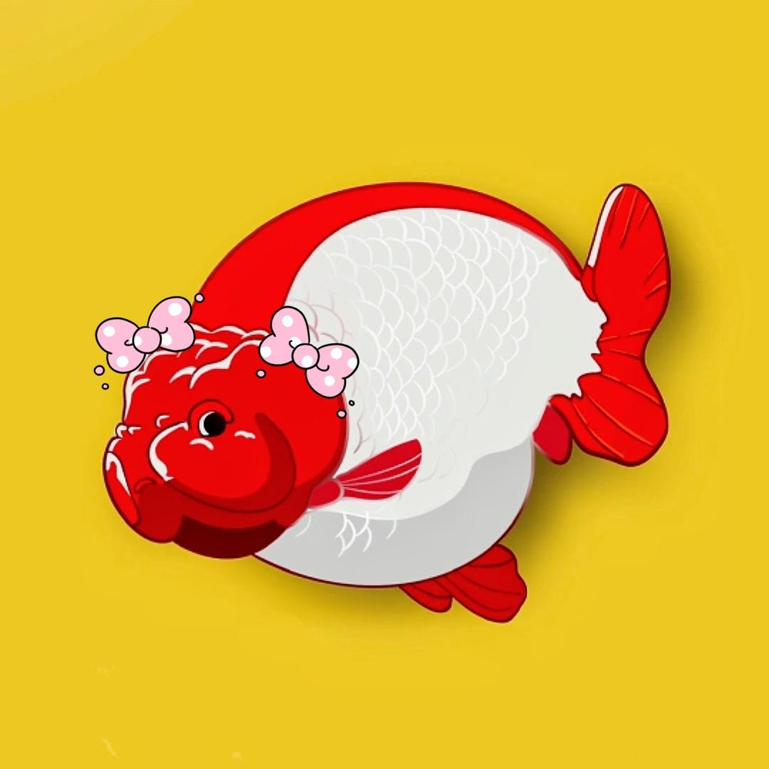 鲸喜渔业（兰寿）