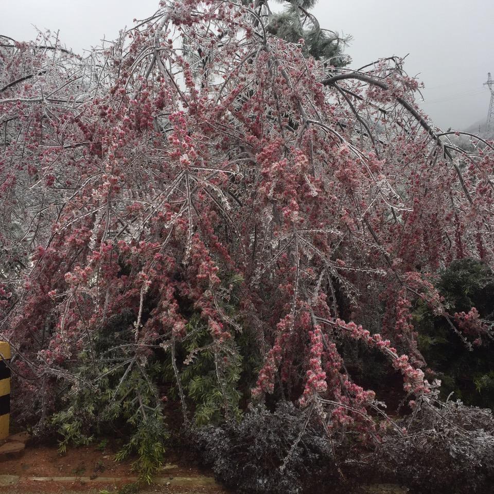 有缘不一定遇见