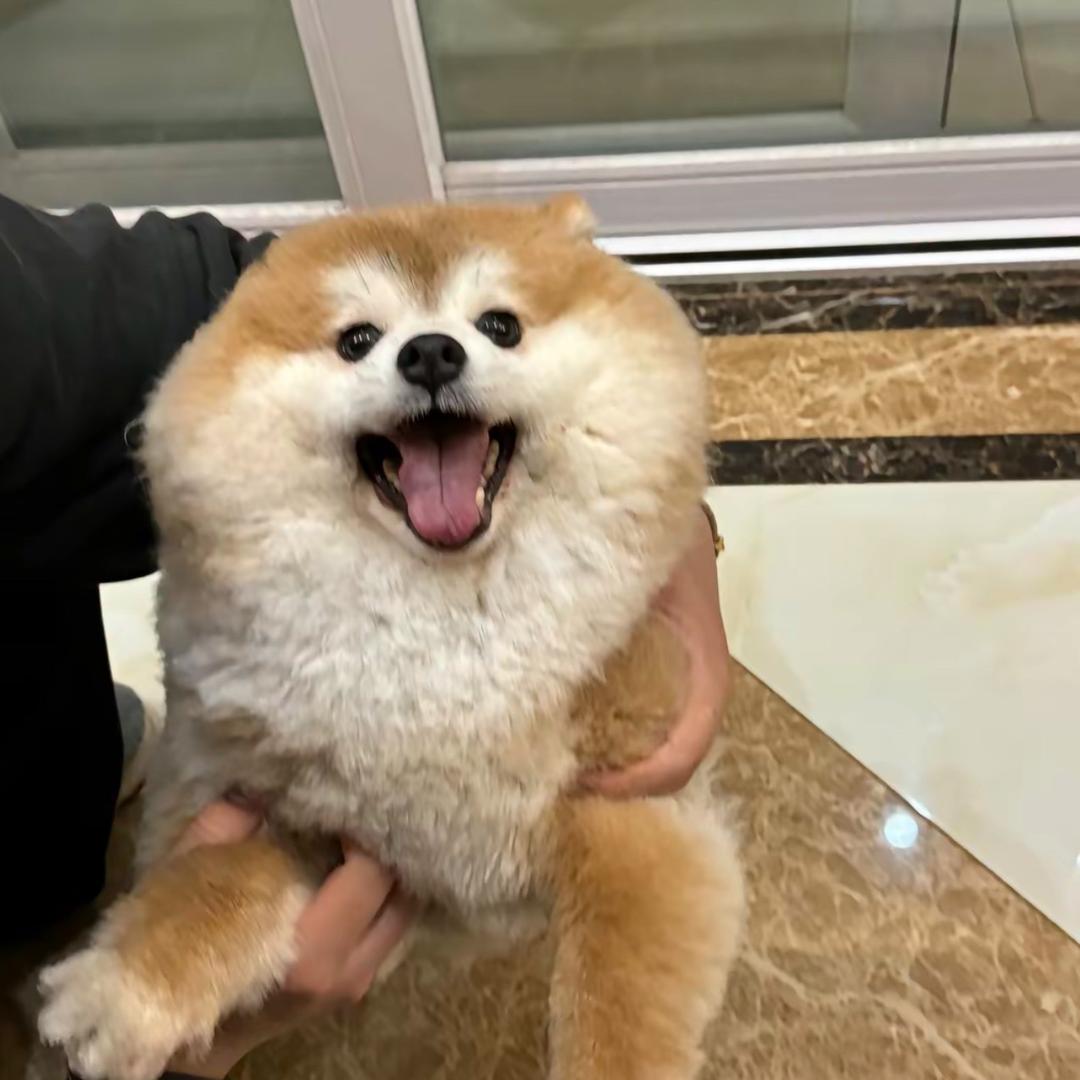 炸鸡翅