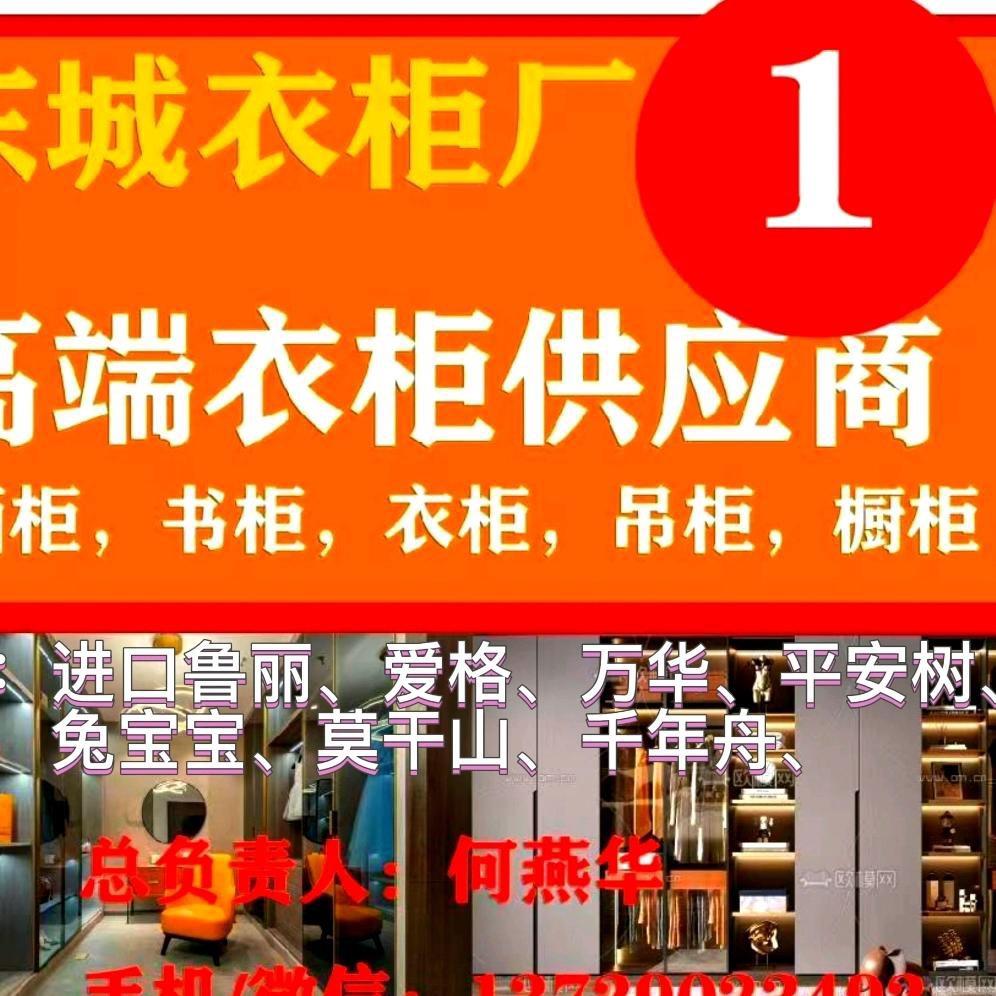 湛江东城高端衣柜厂(华哥)