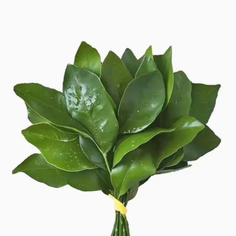 90偷瓜被项羽抓