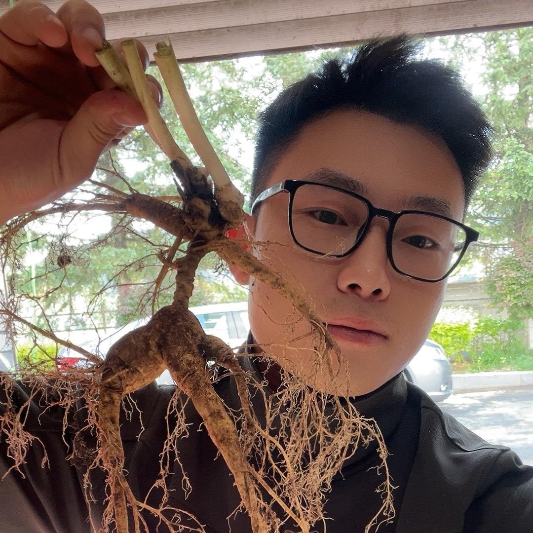 长白山亚林儿(班副)亿林参行