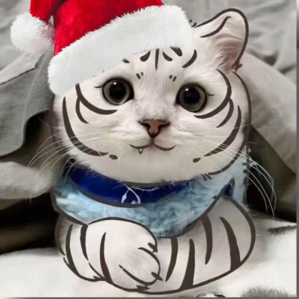 想养一只杰尼龟