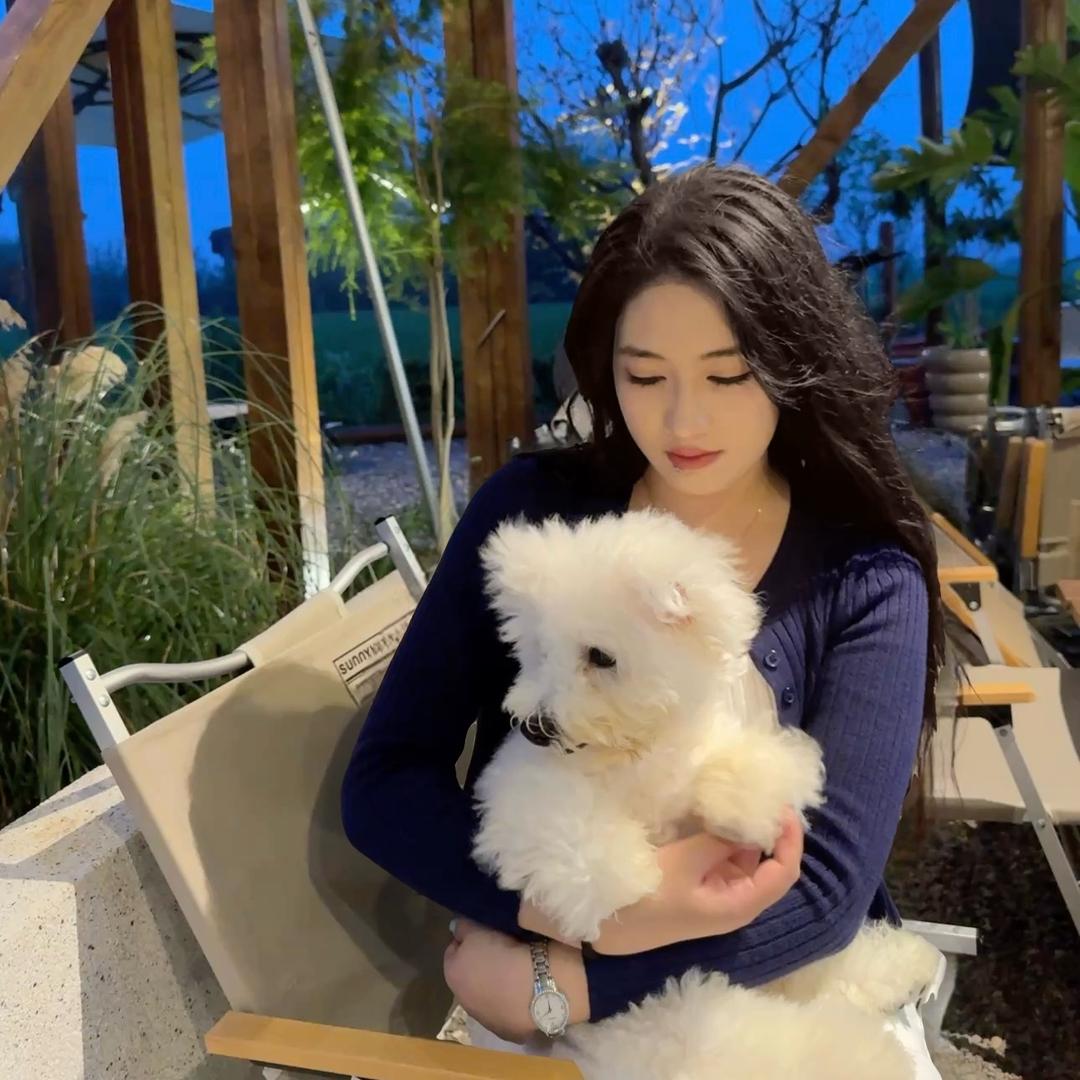 一颗悲伤的香菜