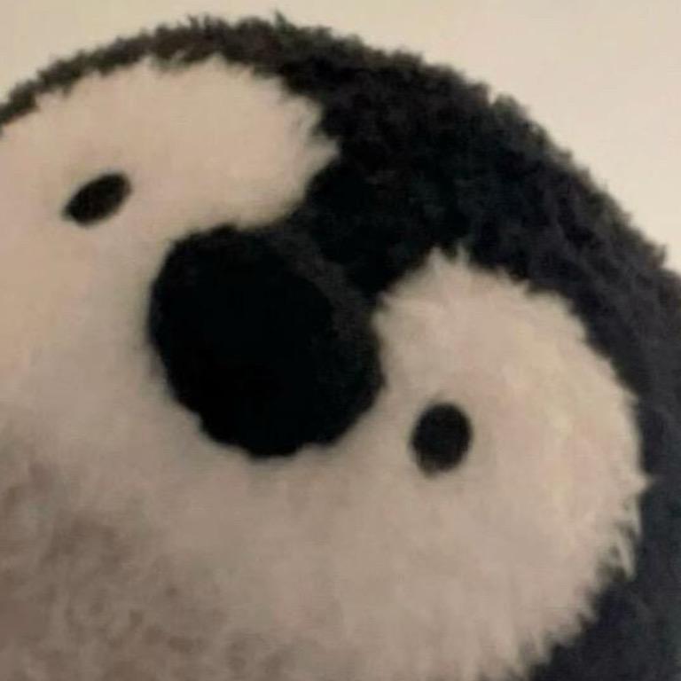 椰果