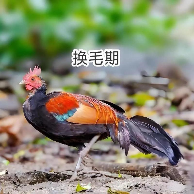 家威源头优品2