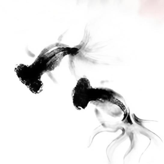 素闲吟风
