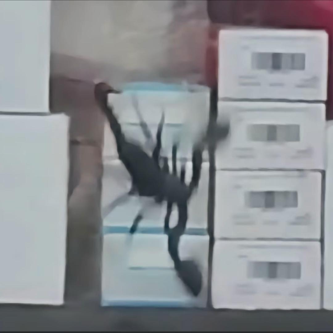 奈一🫧