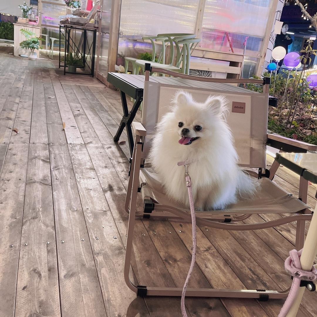 心怡的世界