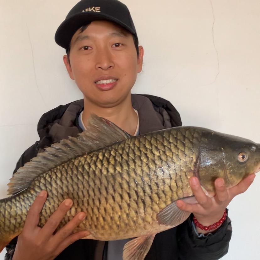 爱钓鱼的奥德彪