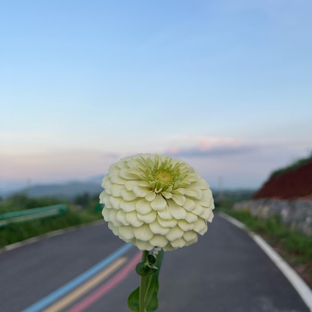 早安小恩宝