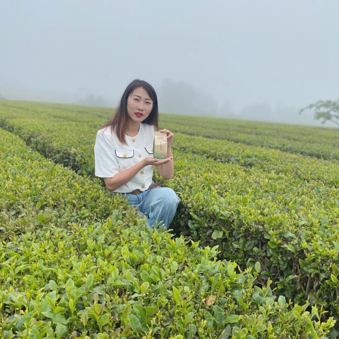 日照绿茶今园春茶厂
