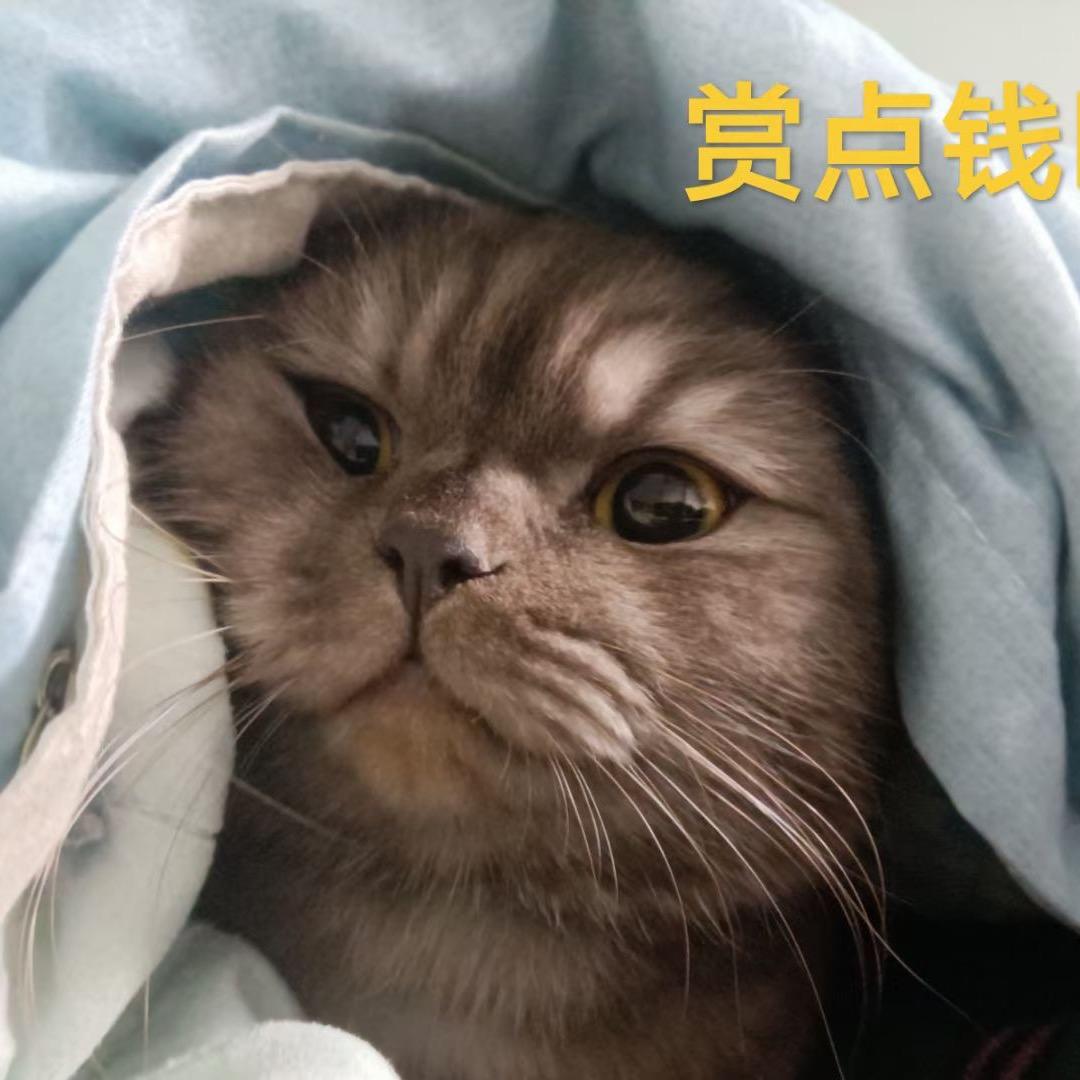 恶魔啸风