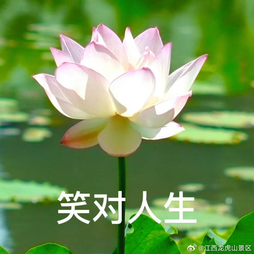 笑对人生