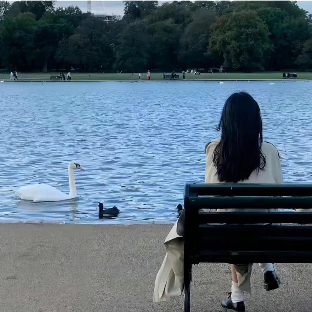 太阳彤