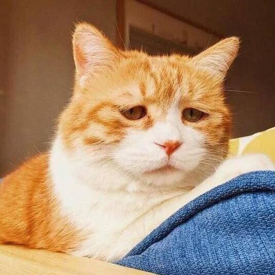 pm