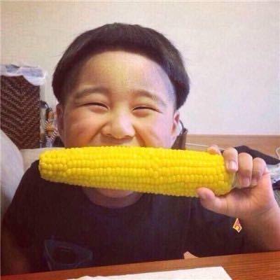 宋胖胖