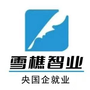 雪樵聊央国企就业