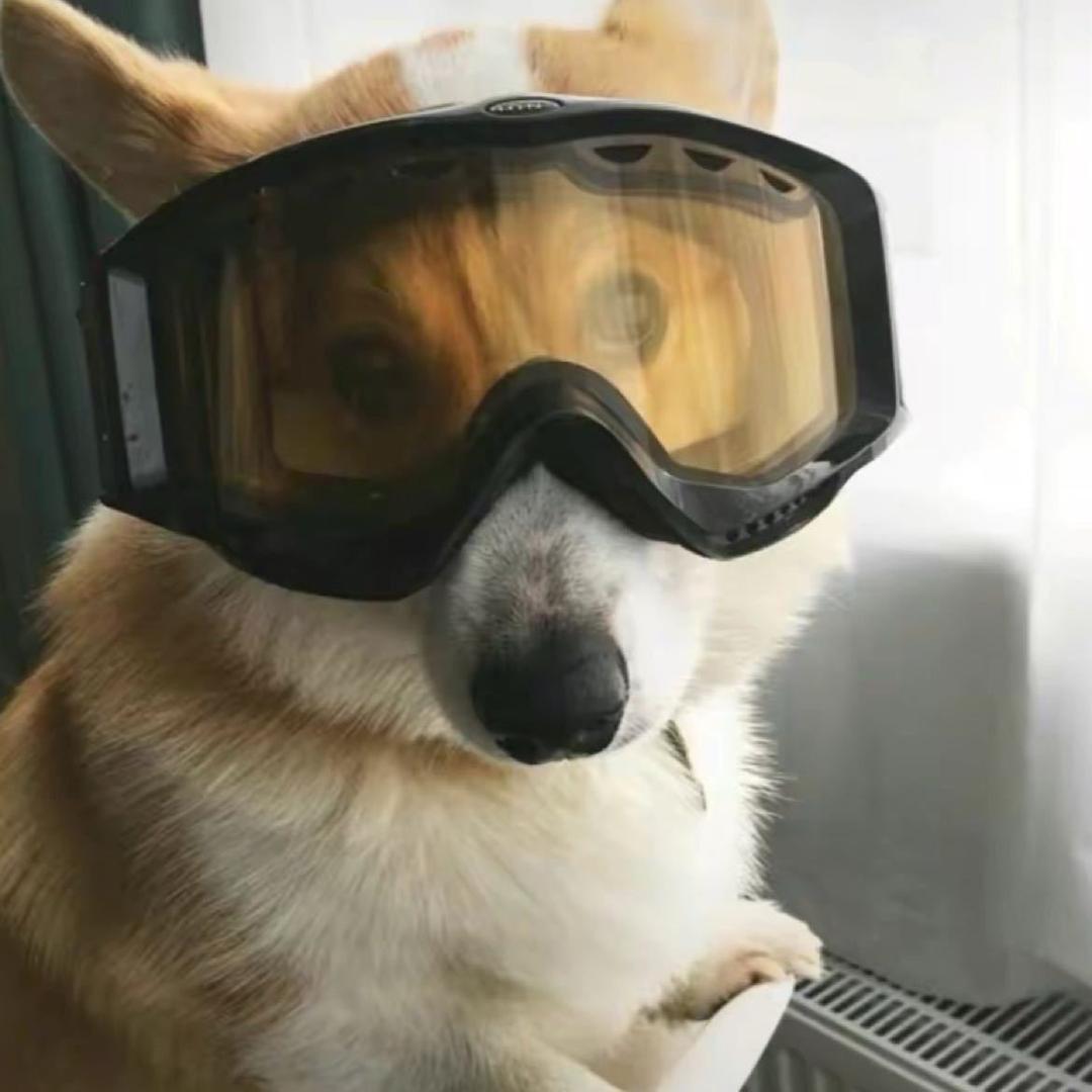 小熊