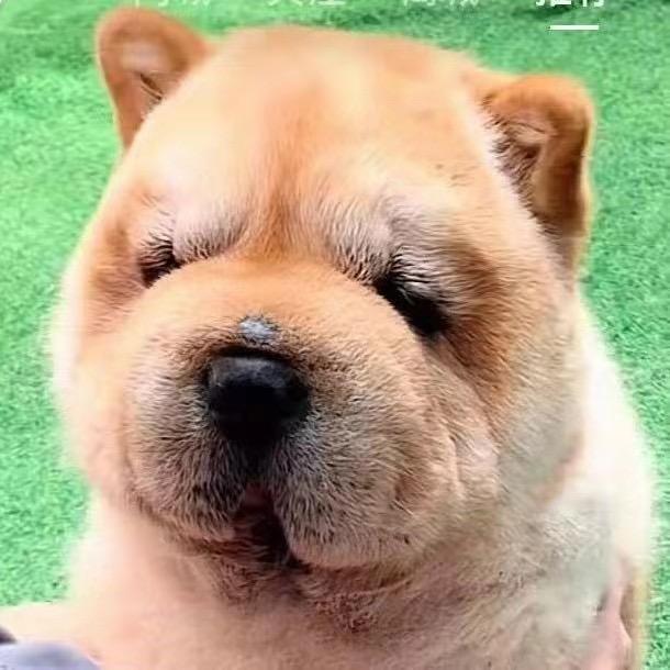 积德行善
