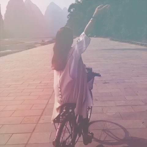 一个向向👆
