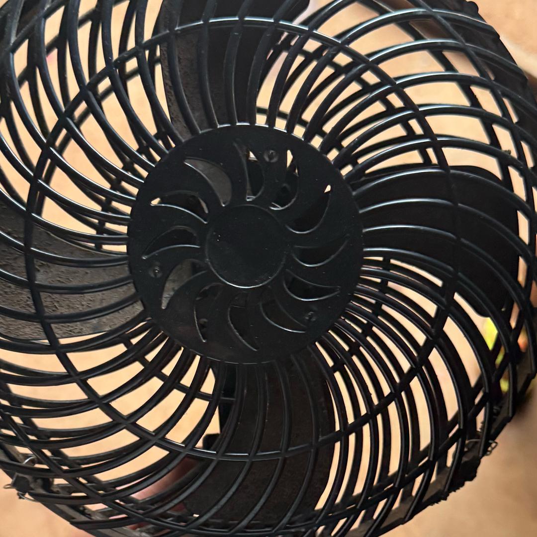 抠
