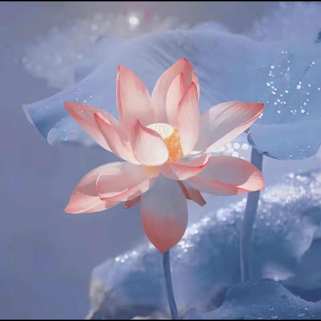 风华正茂.