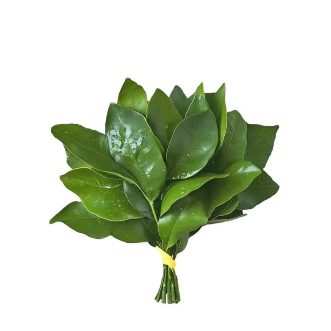 当狗怎么了